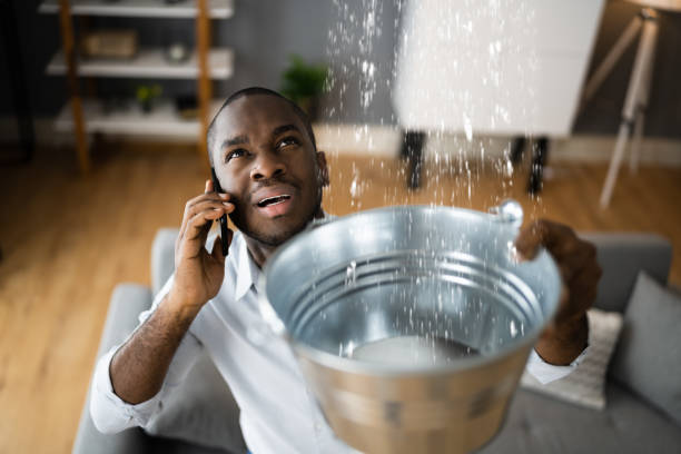 Best Local water damage restoration  in Virden, IL