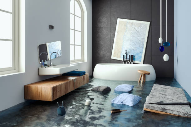 Best Professional water damage repair  in Virden, IL