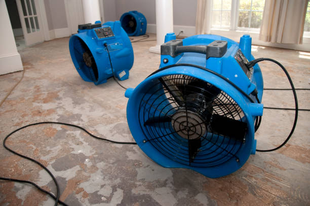 Best 24/7 water damage repair  in Virden, IL