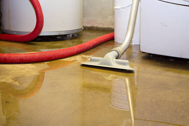 Best Flood restoration services  in Virden, IL