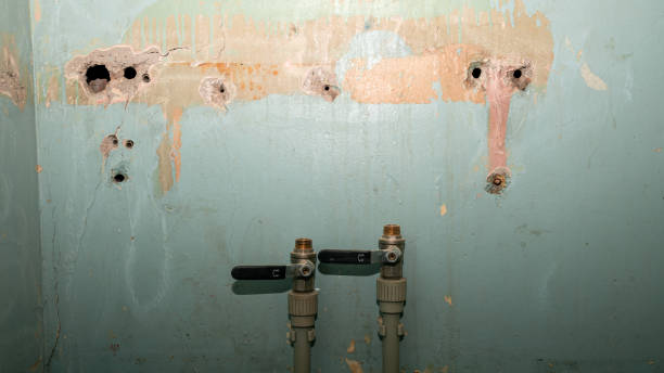 Best Flood restoration services  in Virden, IL