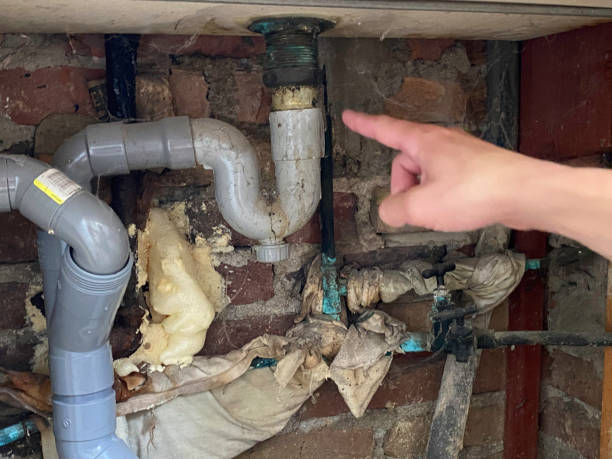 Best Residential water damage restoration  in Virden, IL